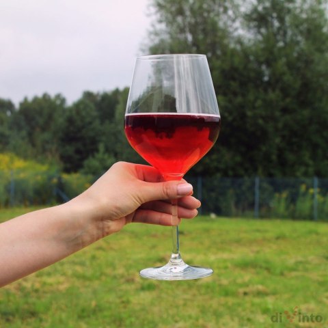 Gigantyczny Kieliszek diVinto 860ml na parapetówkę