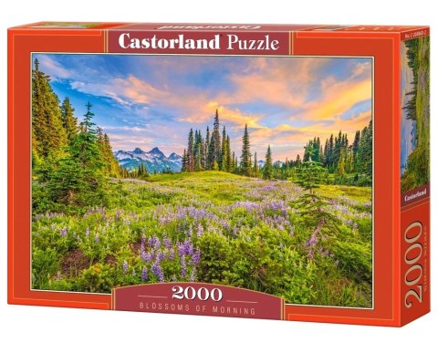 Puzzle układanka 2000 elementów Krajobraz 92 x 68 cm CASTORLAND