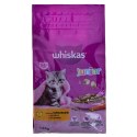 WHISKAS Junior 2-12 Kurczak - sucha karma dla kota - 1.4 kg