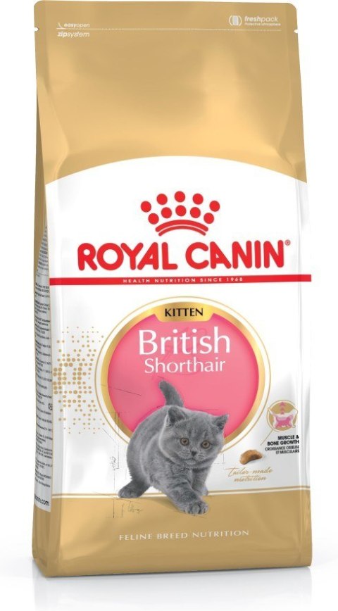 ROYAL CANIN FBN British Shorthair Kitten - sucha karma dla kociąt - 10kg