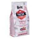 BRIT Fresh Beef & Pumpkin Puppy Large Growth & Joints - sucha karma z wołowiną i dynią dla szczeniąt ras dużych - 2,5 kg