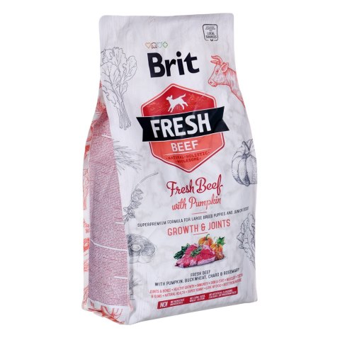BRIT Fresh Beef & Pumpkin Puppy Large Growth & Joints - sucha karma z wołowiną i dynią dla szczeniąt ras dużych - 2,5 kg