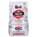 BRIT Fresh Beef & Pumpkin Puppy Large Growth & Joints - sucha karma z wołowiną i dynią dla szczeniąt ras dużych - 2,5 kg