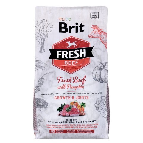 BRIT Fresh Beef & Pumpkin Puppy Large Growth & Joints - sucha karma z wołowiną i dynią dla szczeniąt ras dużych - 2,5 kg