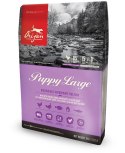 ORIJEN Puppy Large - sucha karma dla szczeniąt dużych ras - 6kg