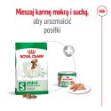 ROYAL CANIN Mini Adult 0,8kg - sucha karma dla psa