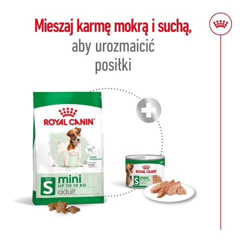 ROYAL CANIN Mini Adult 0,8kg - sucha karma dla psa