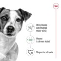 ROYAL CANIN Mini Adult 0,8kg - sucha karma dla psa