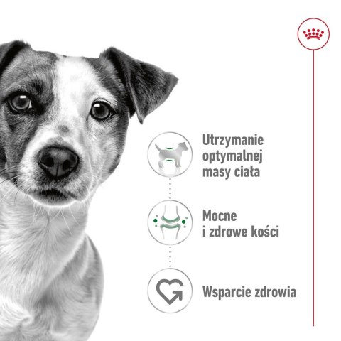 ROYAL CANIN Mini Adult 0,8kg - sucha karma dla psa