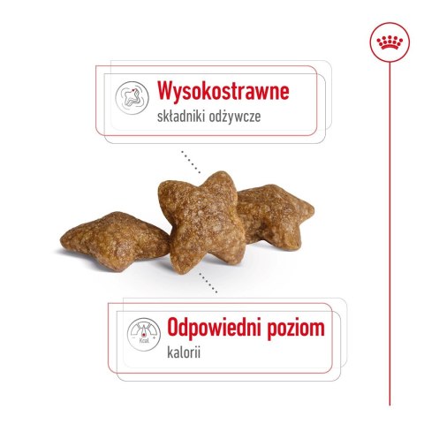 ROYAL CANIN Mini Adult 0,8kg - sucha karma dla psa