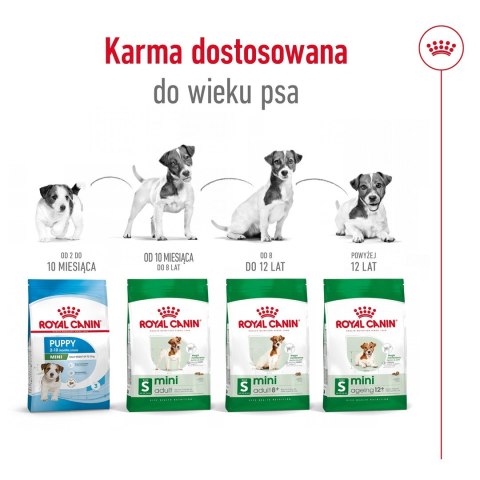 ROYAL CANIN Mini Adult 0,8kg - sucha karma dla psa