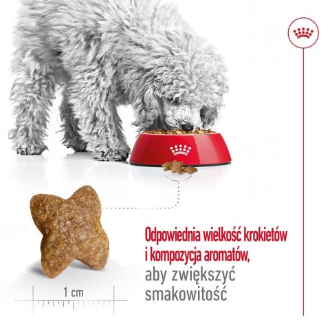 ROYAL CANIN Mini Adult 0,8kg - sucha karma dla psa
