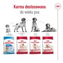 ROYAL CANIN SHN Medium Adult - sucha karma dla psa dorosłego - 15 kg