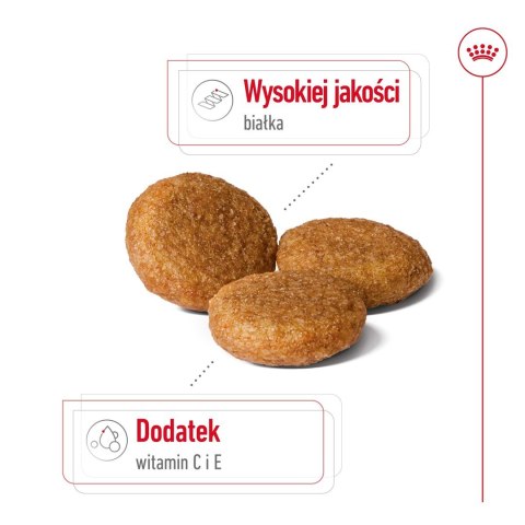 ROYAL CANIN SHN Medium Adult - sucha karma dla psa dorosłego - 4kg