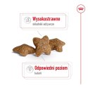 ROYAL CANIN SHN Mini Adult - sucha karma dla psa dorosłego - 4kg