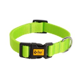 DINGO Obroża 2,5 x 55cm( 31-49) zielona