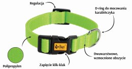 DINGO Obroża 1,0 x 30cm(20-28) różowa