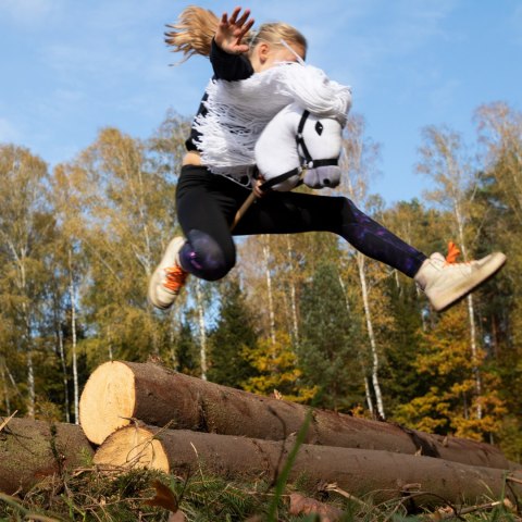 Hobby horse koń na patyku kiju dla dziecka duży A3