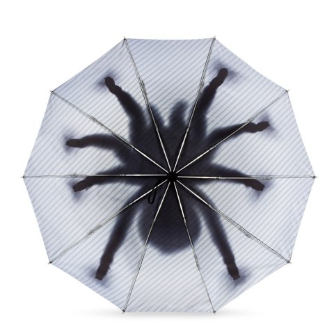 Taranturella - Odwrócony Parasol Pająk