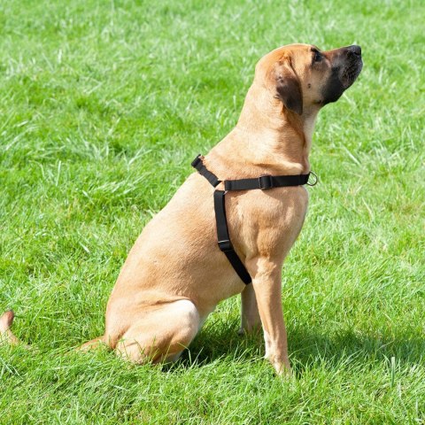 DINGO szelki "easy walk" roz.100(70-105cm) czarne