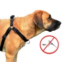 DINGO szelki "easy walk" roz.100(70-105cm) czarne
