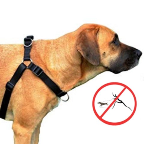 DINGO szelki "easy walk" roz.85(61-90cm) czarne