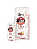 BRIT Fresh Beef & Pumpkin Puppy Large Growth & Joints 12kg (WYPRZEDAŻ)