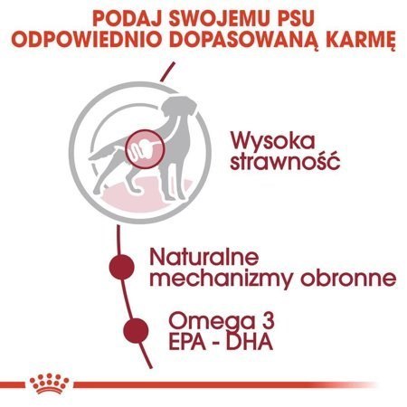 ROYAL CANIN SHN Medium Adult w sosie 10X140G