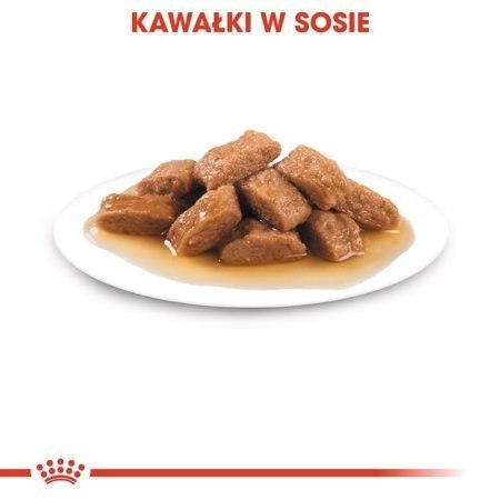 ROYAL CANIN SHN Medium Adult w sosie 10X140G
