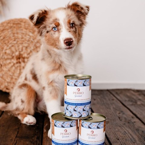 PERRO Gourmet Jeleń z gruszką dla szczeniąt 400 g