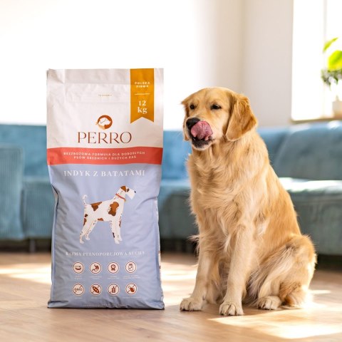 PERRO Indyk z batatami dla dorosłych psów średnich i dużych ras - 3 kg