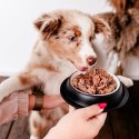 PERRO Gorumet Konina z cukinią dla szczeniąt 400 g