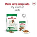 ROYAL CANIN SHN Mini Adult BF 8kg (WYPRZEDAŻ)