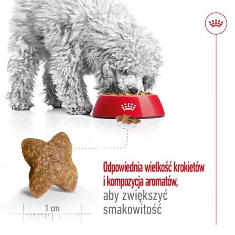 ROYAL CANIN SHN Mini Adult BF 8kg (WYPRZEDAŻ)