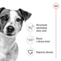 ROYAL CANIN SHN Mini Adult BF 8kg (WYPRZEDAŻ)