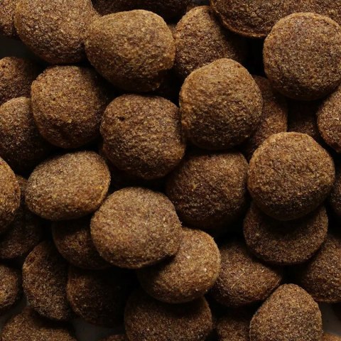 BIOFEED NASZ PIES Z WOŁOWINĄ 15 KG (WYPRZEDAŻ)