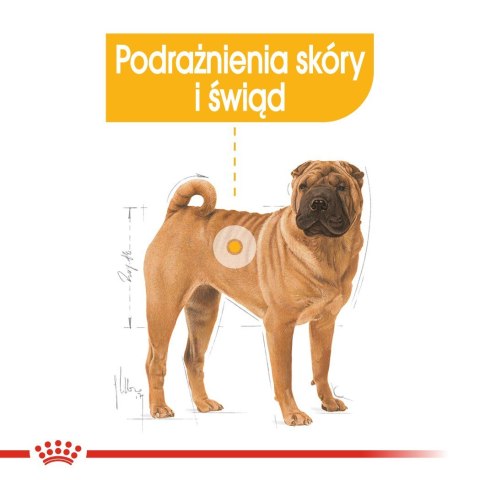 ROYAL CANIN CCN Dermacomfort Medium - sucha karma dla psów ras średnich z wrażliwą skórą - 12 kg