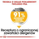 ROYAL CANIN CCN Dermacomfort Medium - sucha karma dla psów ras średnich z wrażliwą skórą - 12 kg