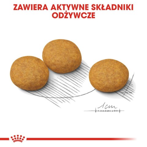 ROYAL CANIN CCN Dermacomfort Medium - sucha karma dla psów ras średnich z wrażliwą skórą - 12 kg