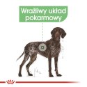 ROYAL CANIN CCN MAXI DIGESTIVE CARE - sucha karma dla psa dorosłego - 3kg