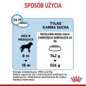 ROYAL CANIN SHN Giant Junior - sucha karma dla szczeniąt - 15kg
