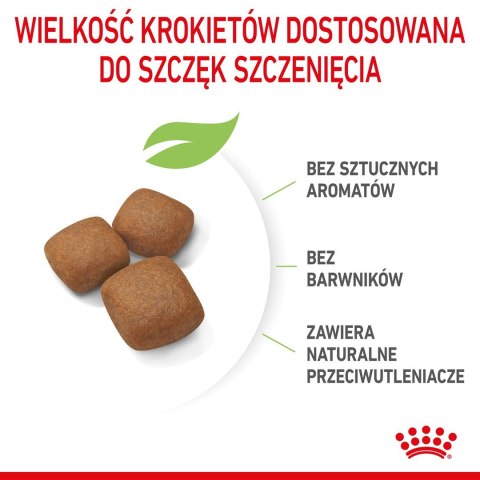 ROYAL CANIN SHN Giant Junior - sucha karma dla szczeniąt - 15kg