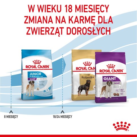 ROYAL CANIN SHN Giant Junior - sucha karma dla szczeniąt - 15kg