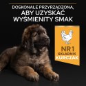PURINA PRO PLAN Large Robust Puppy z formułą OPTISTART - sucha karma dla szczeniąt - 12 kg