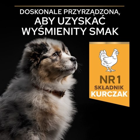 PURINA PRO PLAN Puppy Medium 12kg