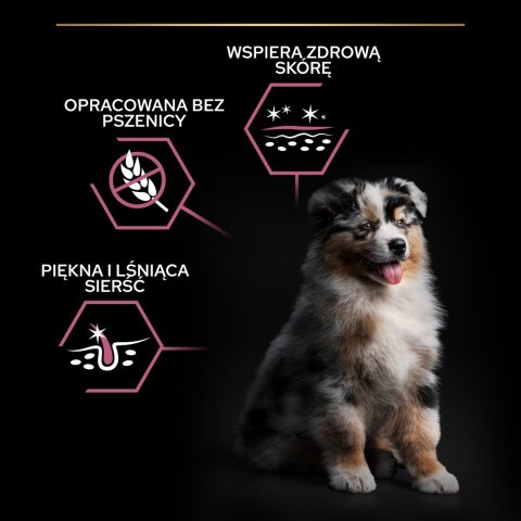 PURINA PRO PLAN Puppy Medium Sensitive Skin - sucha karma dla szczeniąt - 12 kg