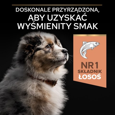PURINA PRO PLAN Puppy Medium Sensitive Skin - sucha karma dla szczeniąt - 12 kg