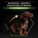 PURINA Pro Plan Small&Mini Puppy Kurczak - sucha karma dla psa - 3 kg