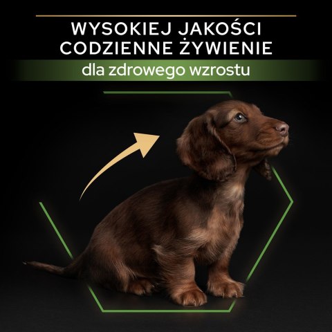 PURINA Pro Plan Small&Mini Puppy Kurczak - sucha karma dla psa - 3 kg