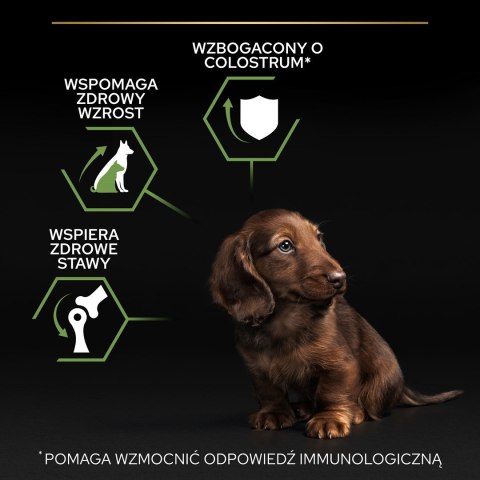 PURINA Pro Plan Small&Mini Puppy Kurczak - sucha karma dla psa - 3 kg